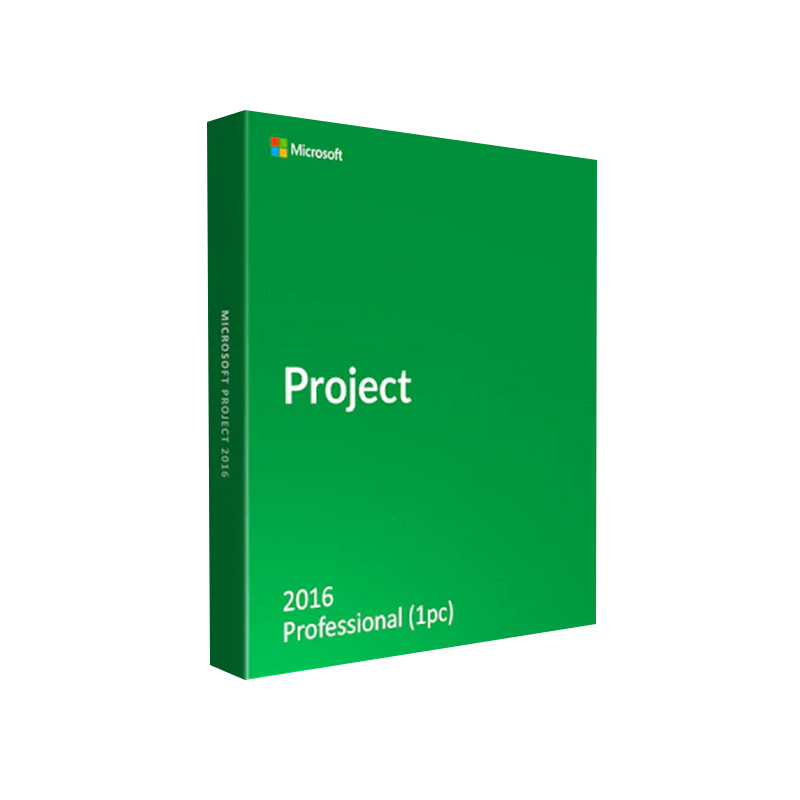 Microsoft Office Project Management
