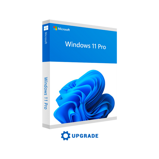 Windows 11 Licence
